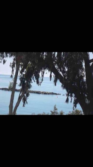 Myria Court Apartment Limassol Bagian luar foto