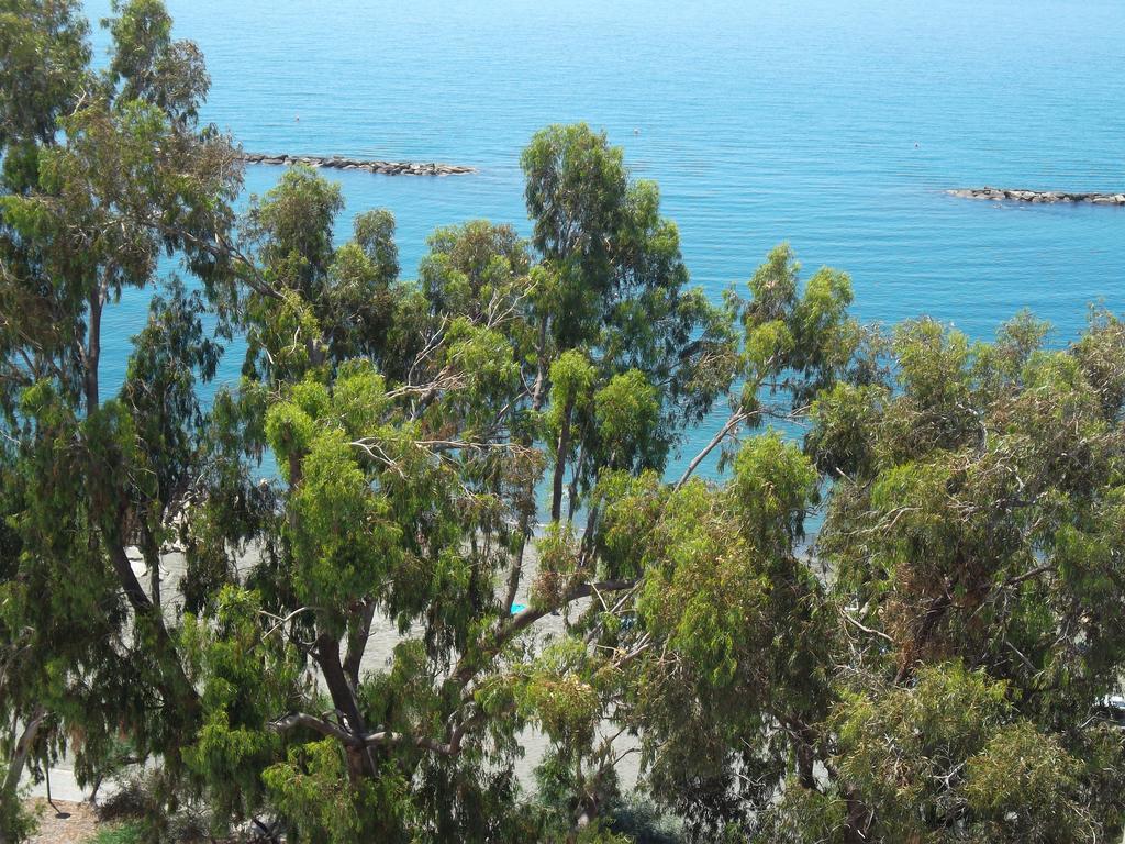 Myria Court Apartment Limassol Bagian luar foto